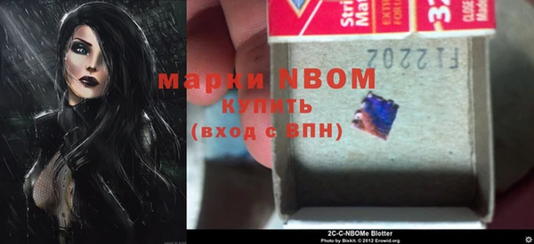 индика Аркадак