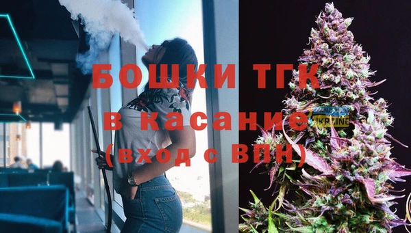 индика Аркадак
