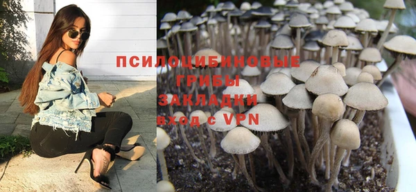 индика Аркадак