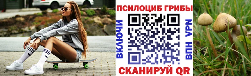 Псилоцибиновые грибы MAGIC MUSHROOMS  что такое наркотик  Касимов 